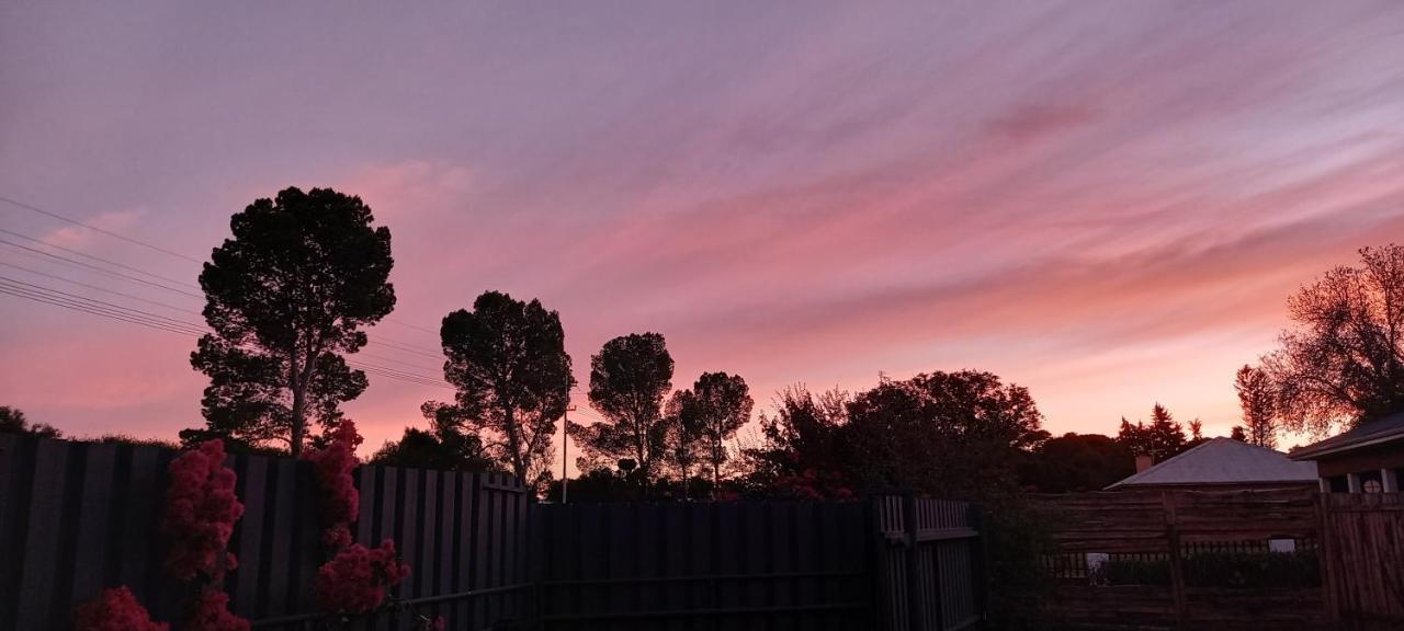 Mitat Guesthouse Beaufort West Bagian luar foto