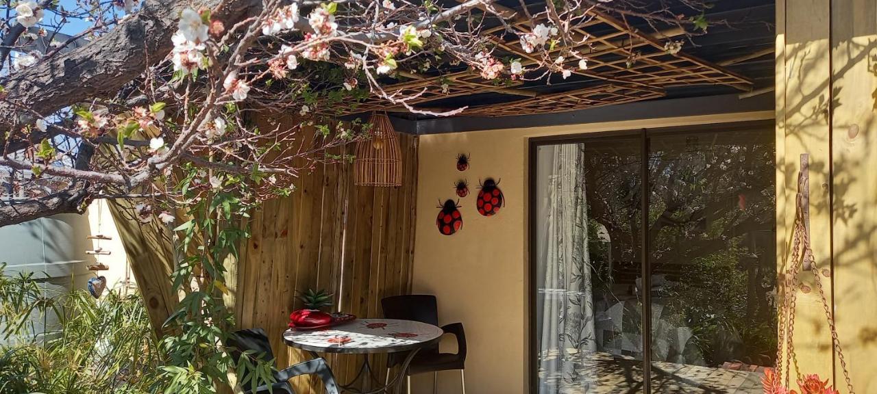 Mitat Guesthouse Beaufort West Bagian luar foto